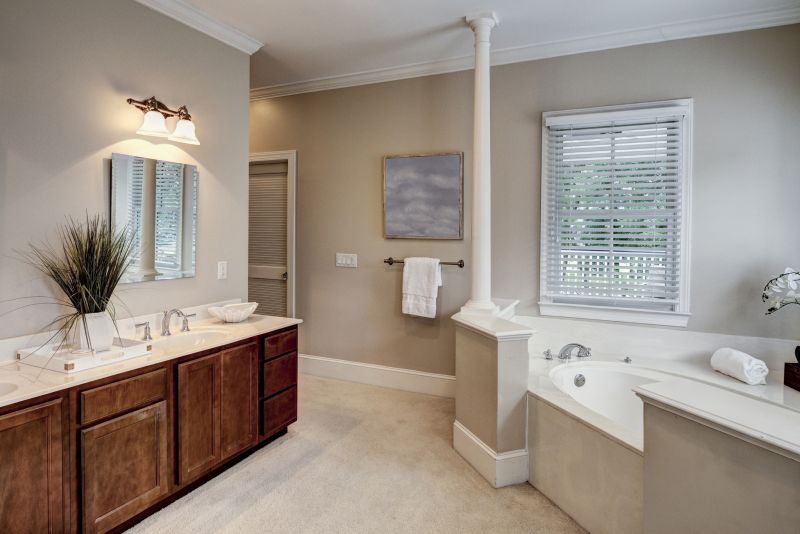Modern Vanity Areas